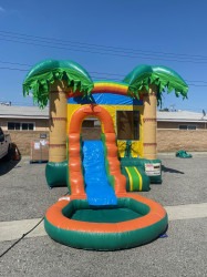 Tropical Oasis Combo (Toddler Combo)